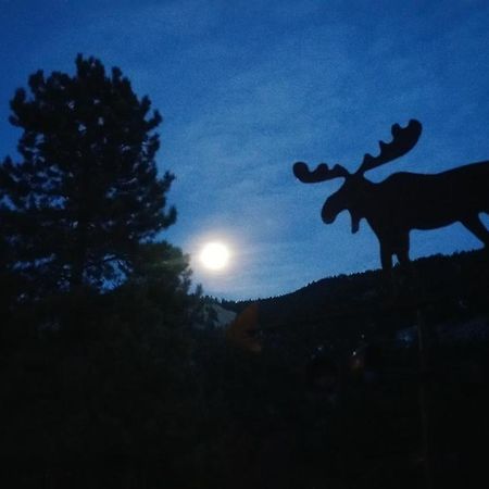Alpine Moose Lodge Lake City المظهر الخارجي الصورة