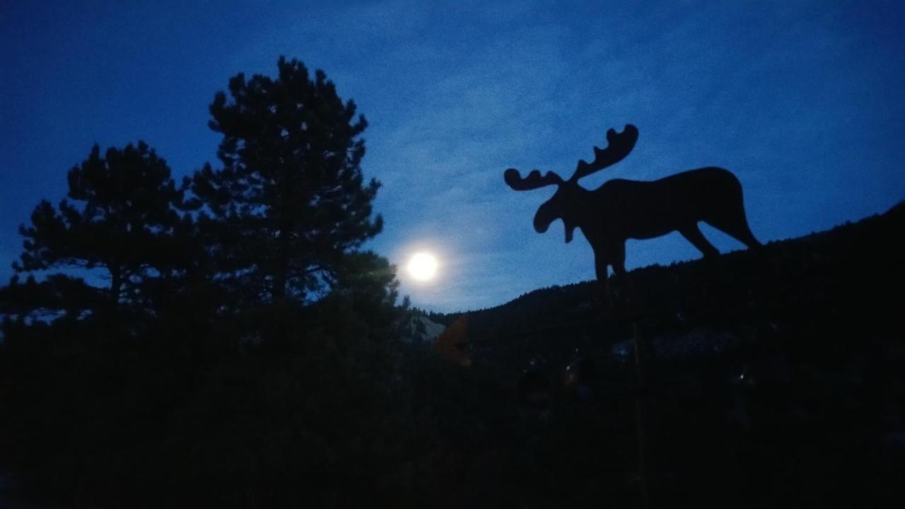 Alpine Moose Lodge Lake City المظهر الخارجي الصورة