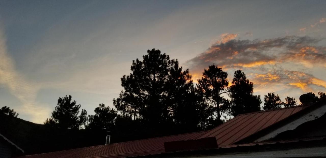 Alpine Moose Lodge Lake City المظهر الخارجي الصورة